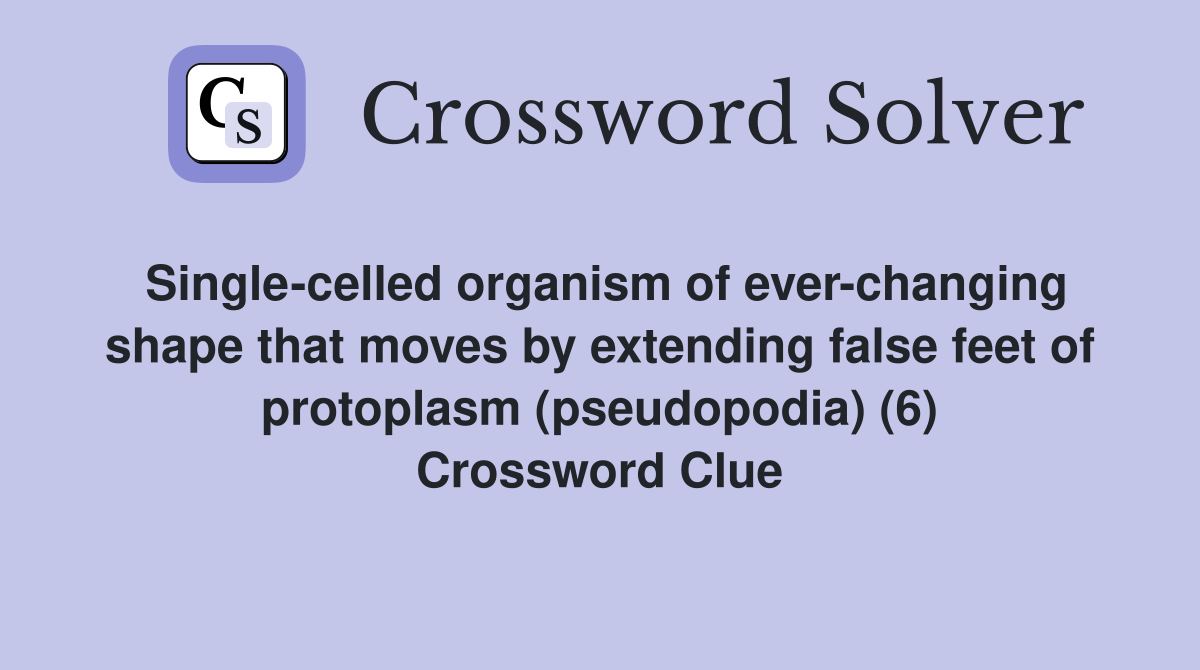 Single-celled organism of ever-changing shape that moves by extending false feet of protoplasm (pseudopodia) (6) Crossword Clue