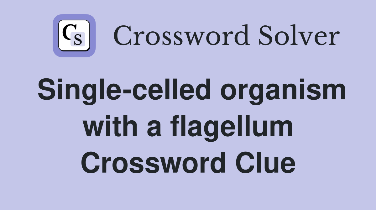 Single-celled organism with a flagellum Crossword Clue