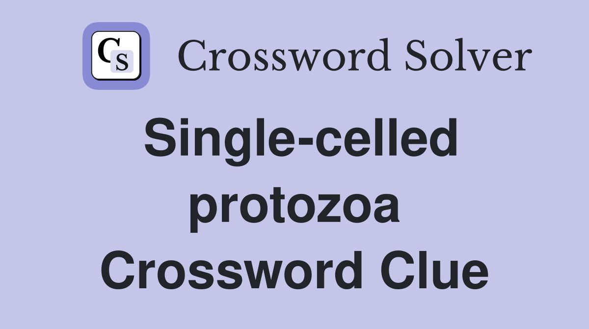Single-celled protozoa Crossword Clue