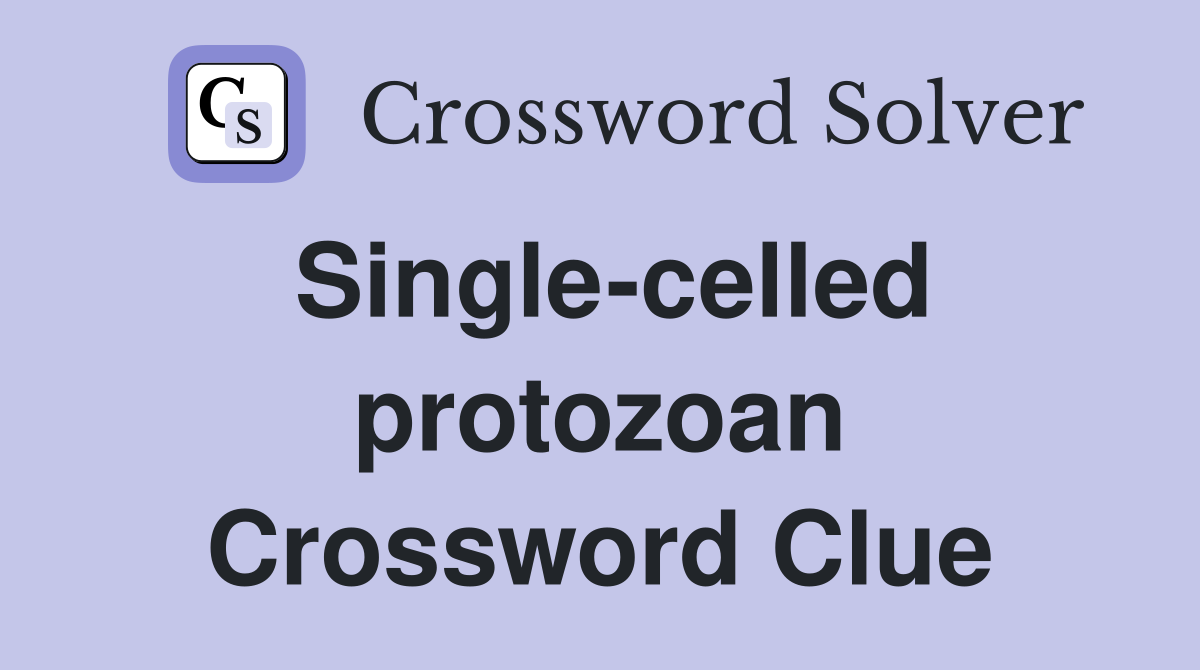 Single-celled protozoan Crossword Clue
