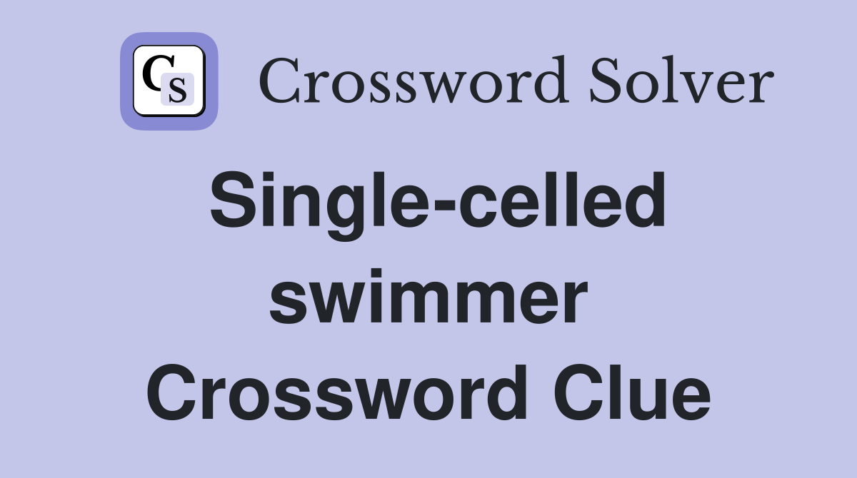 Single-celled swimmer Crossword Clue