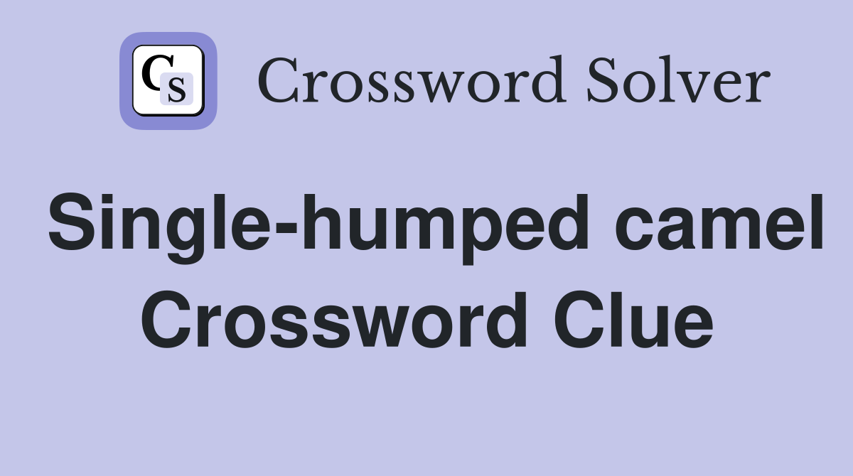 Single-humped camel Crossword Clue