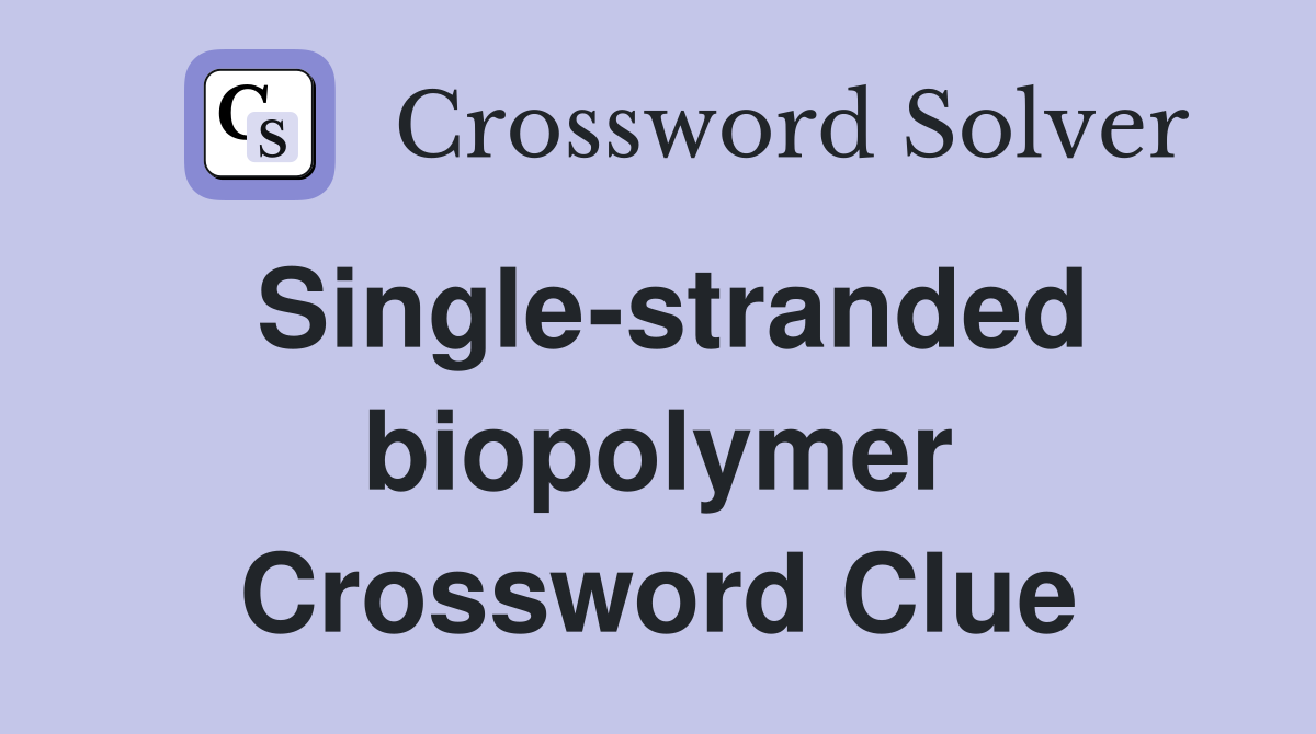 Single-stranded biopolymer Crossword Clue