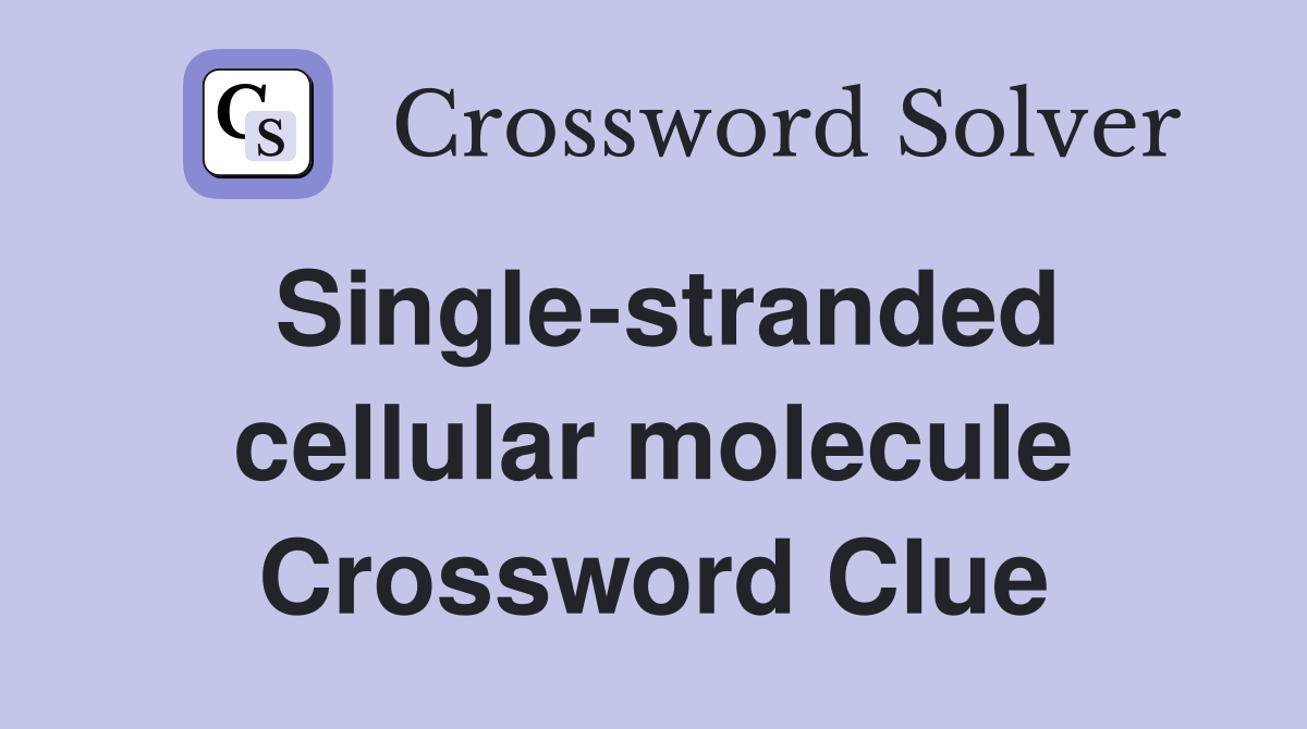 Single-stranded cellular molecule Crossword Clue