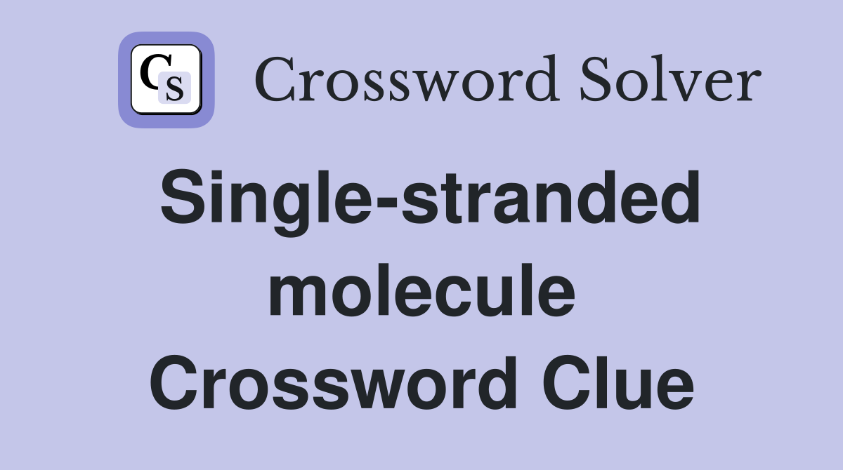 Single-stranded molecule Crossword Clue