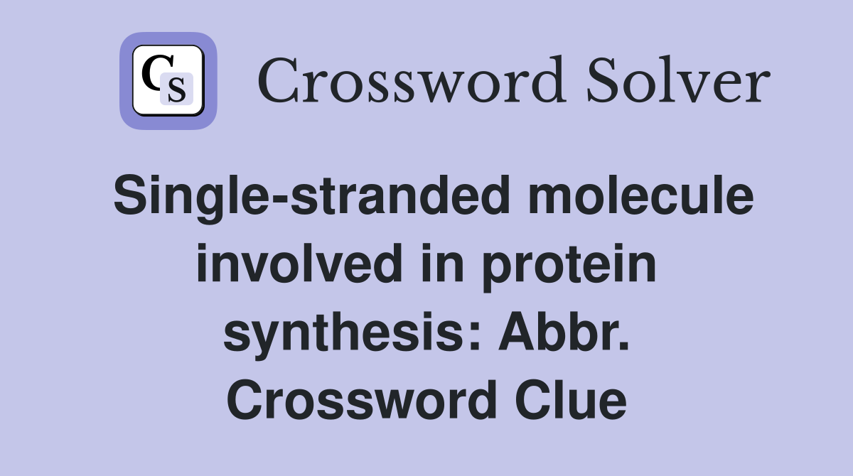 Single-stranded molecule involved in protein synthesis: Abbr. Crossword Clue
