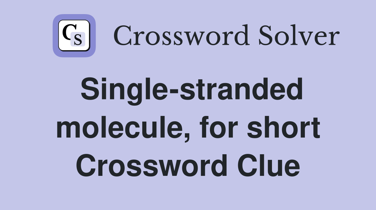 Single-stranded molecule, for short Crossword Clue