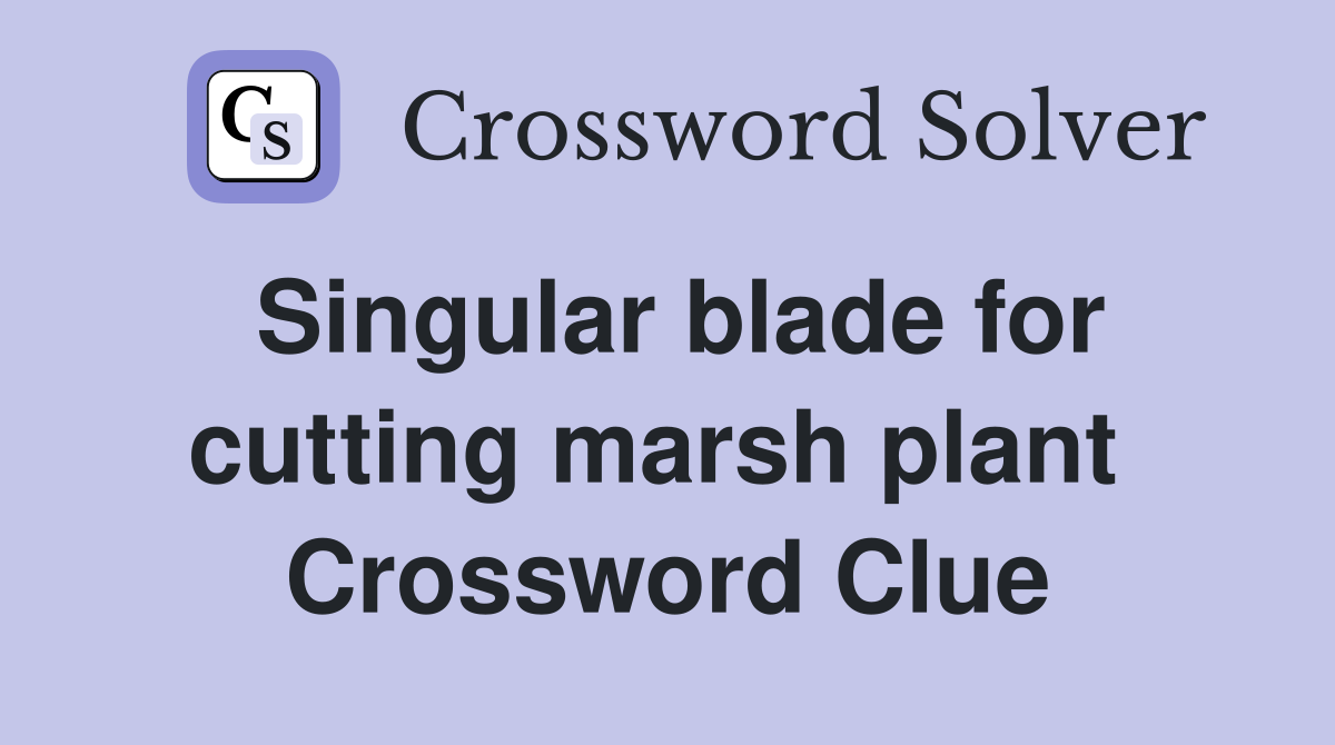 Singular blade for cutting marsh plant  Crossword Clue