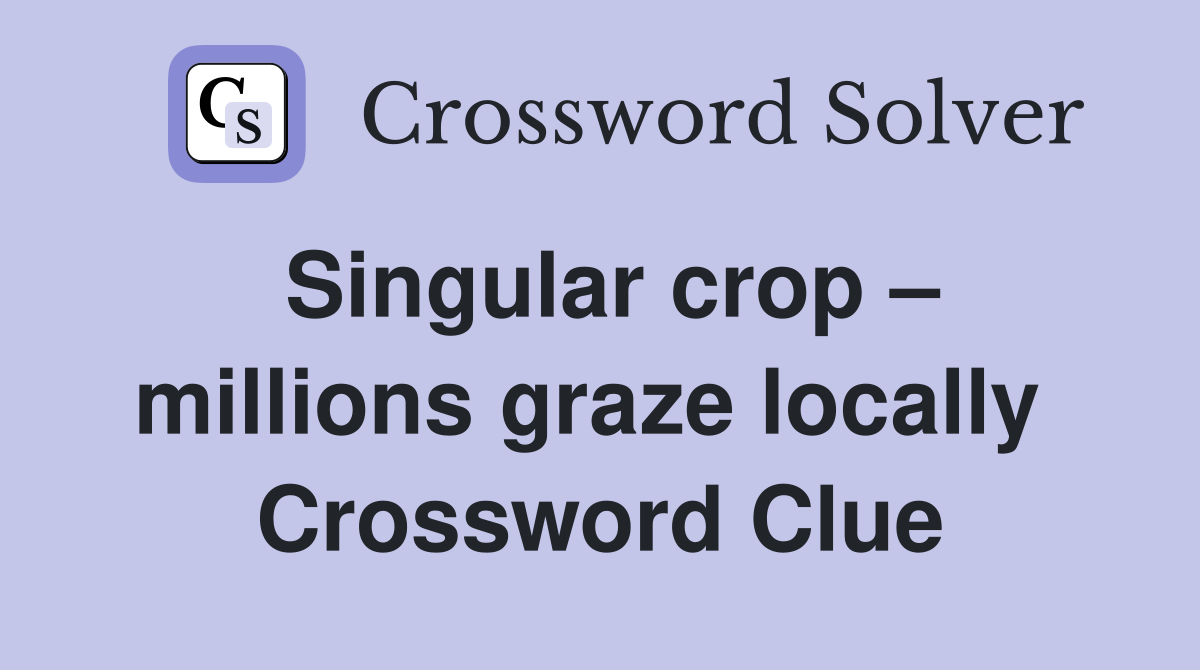 Singular crop – millions graze locally  Crossword Clue