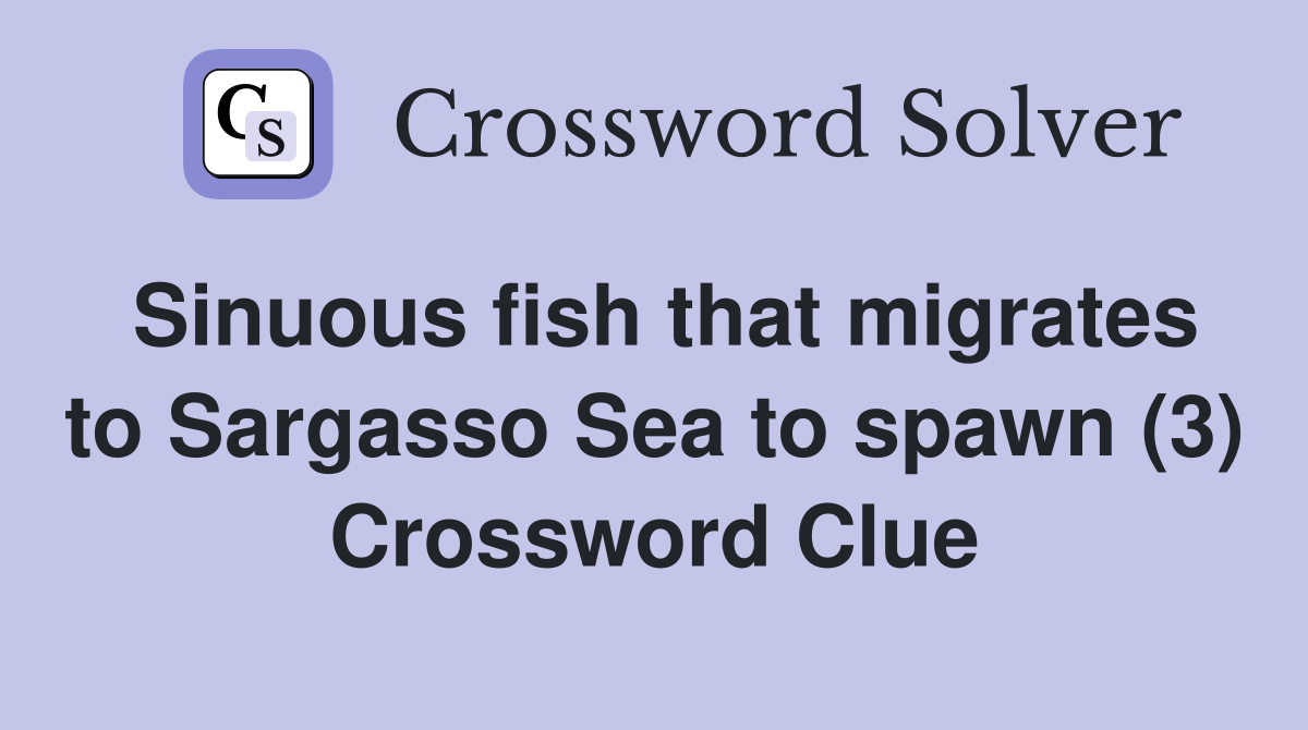 Sinuous fish that migrates to Sargasso Sea to spawn (3) Crossword Clue