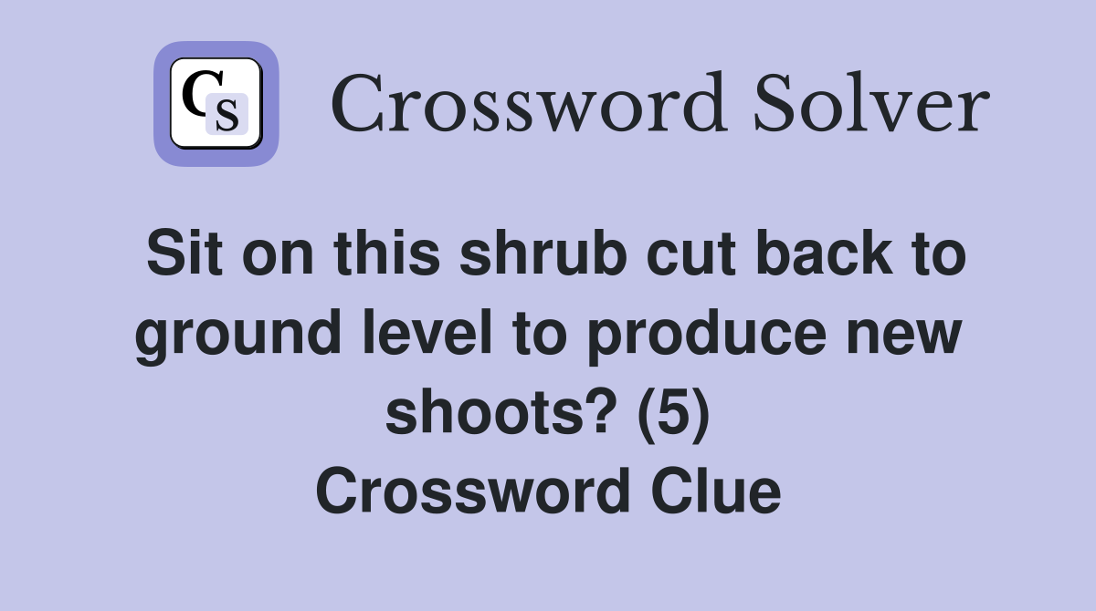 Sit on this shrub cut back to ground level to produce new shoots? (5) Crossword Clue