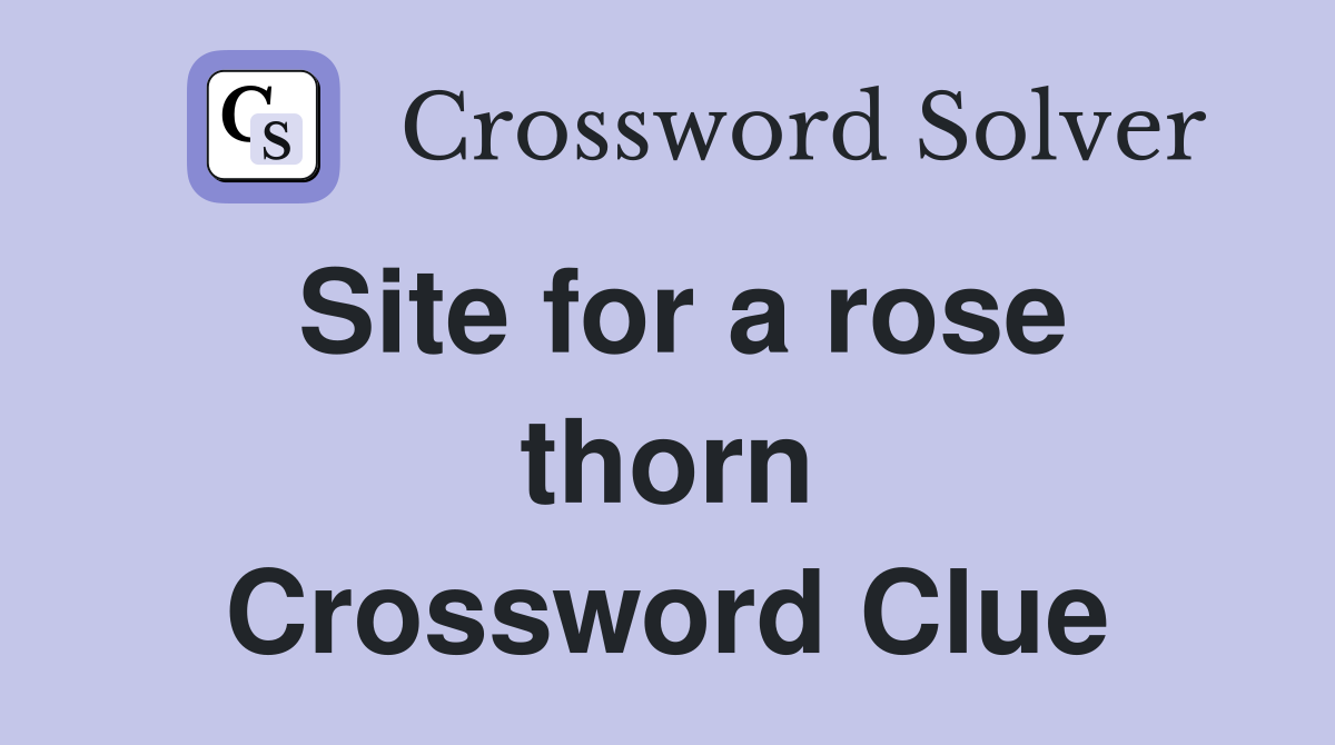 Site for a rose thorn Crossword Clue