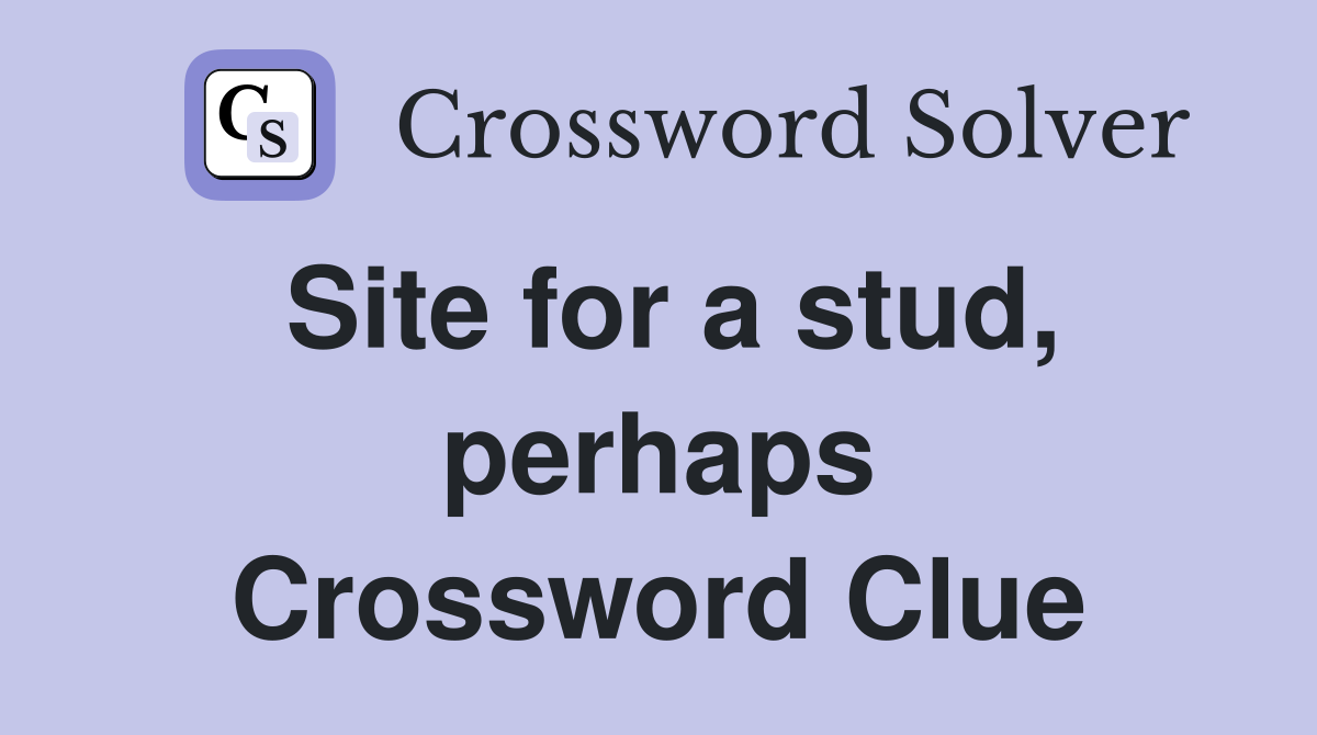 Site for a stud, perhaps Crossword Clue