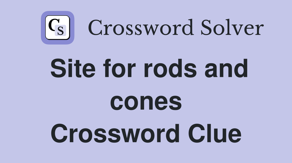 Site for rods and cones Crossword Clue