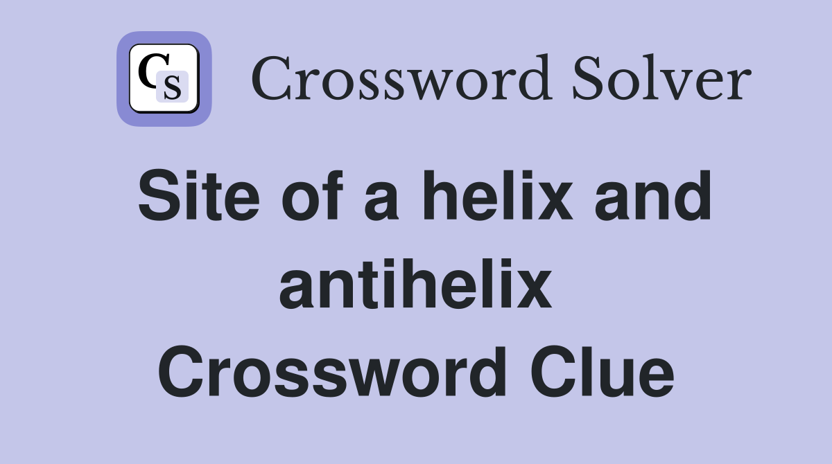 Site of a helix and antihelix Crossword Clue