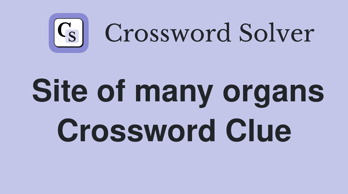 Site of many organs Crossword Clue