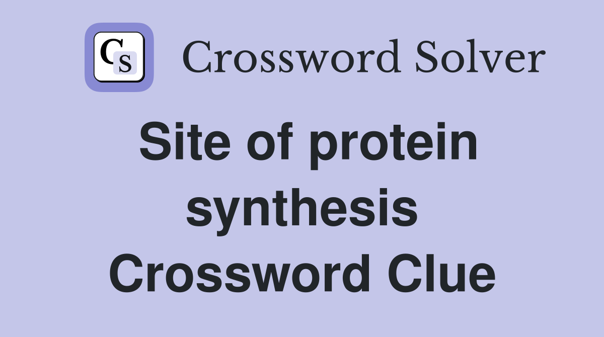 Site of protein synthesis Crossword Clue