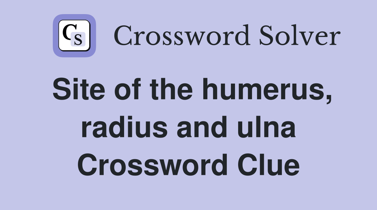 Site of the humerus, radius and ulna Crossword Clue