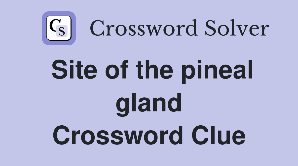 Site of the pineal gland Crossword Clue