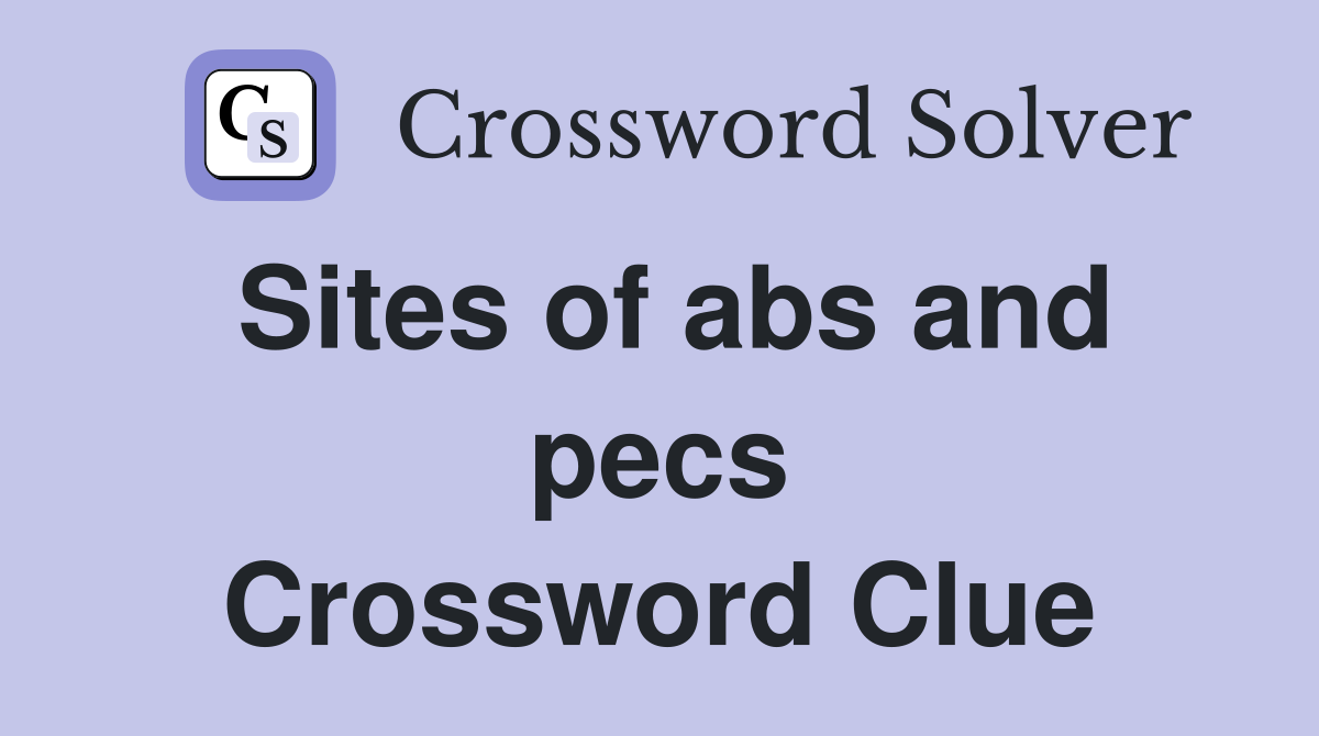 Sites of abs and pecs Crossword Clue