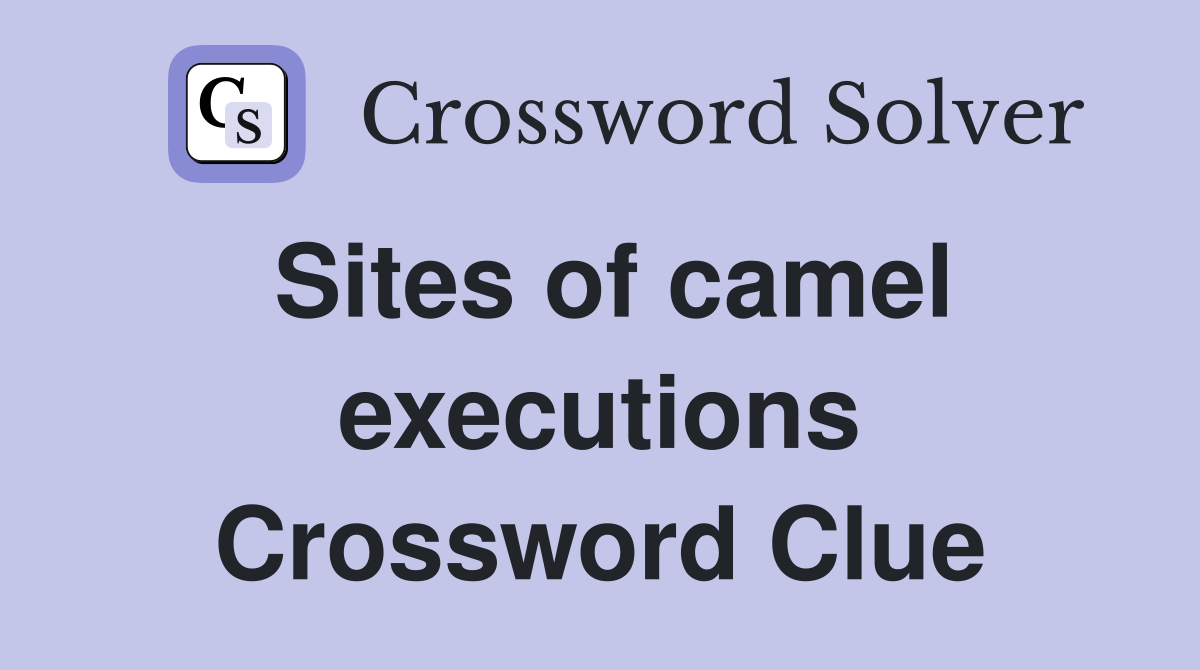 Sites of camel executions Crossword Clue
