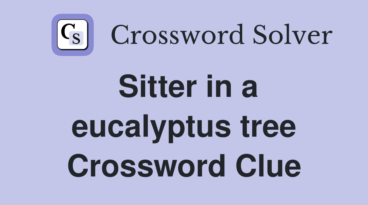 Sitter in a eucalyptus tree Crossword Clue