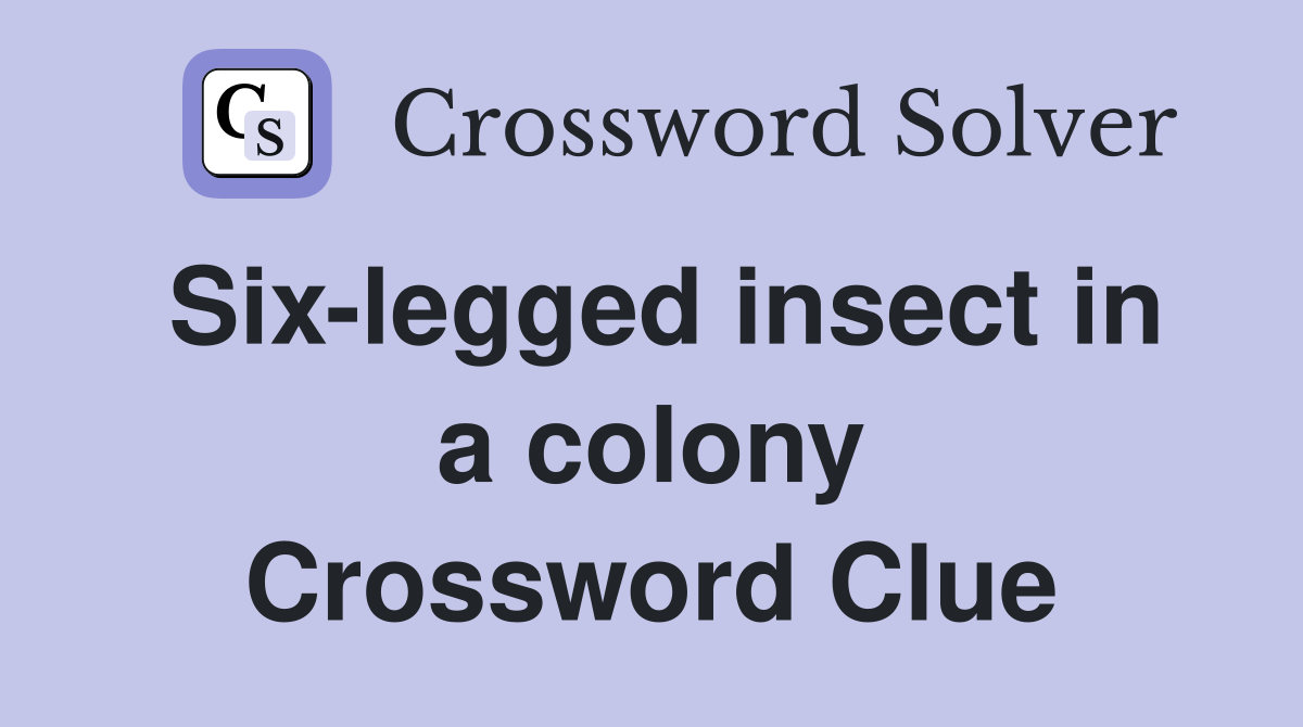 Six-legged insect in a colony Crossword Clue