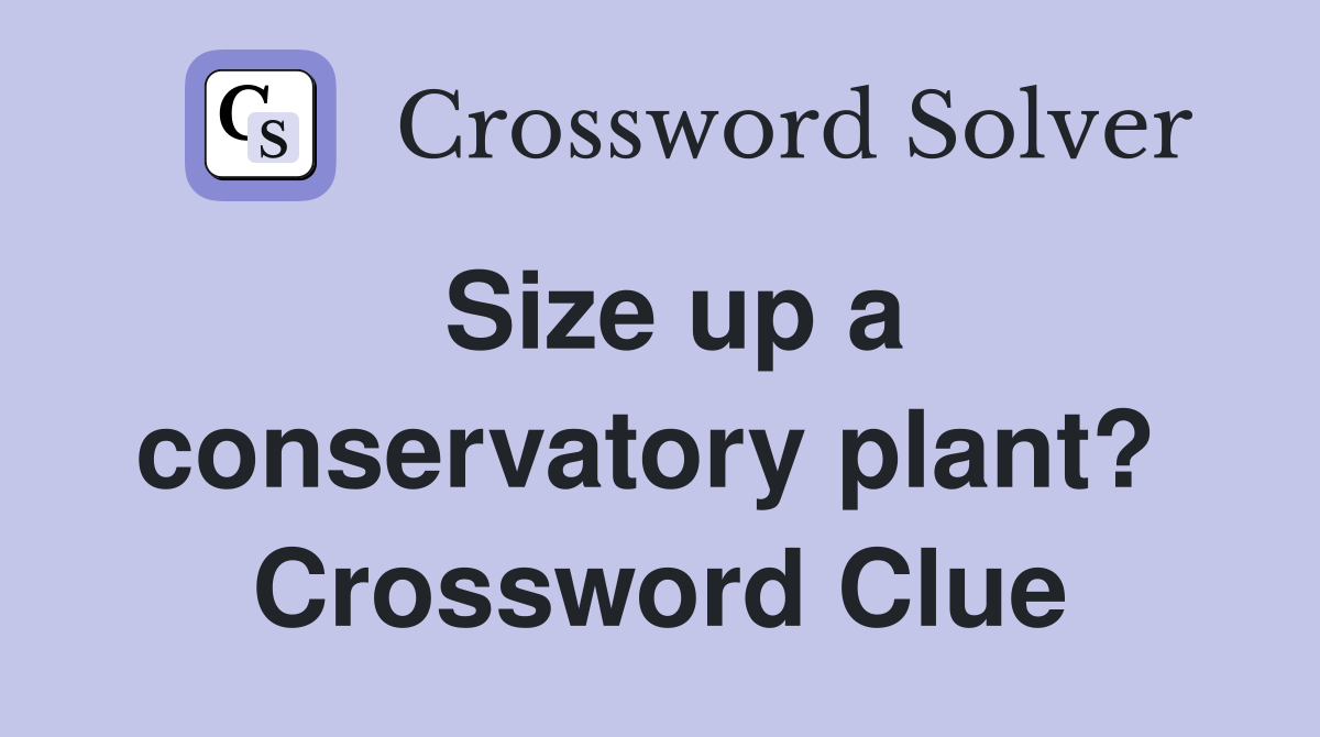 Size up a conservatory plant?  Crossword Clue