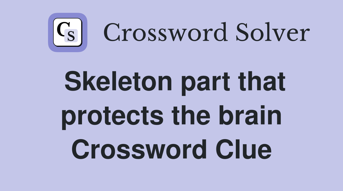 Skeleton part that protects the brain Crossword Clue