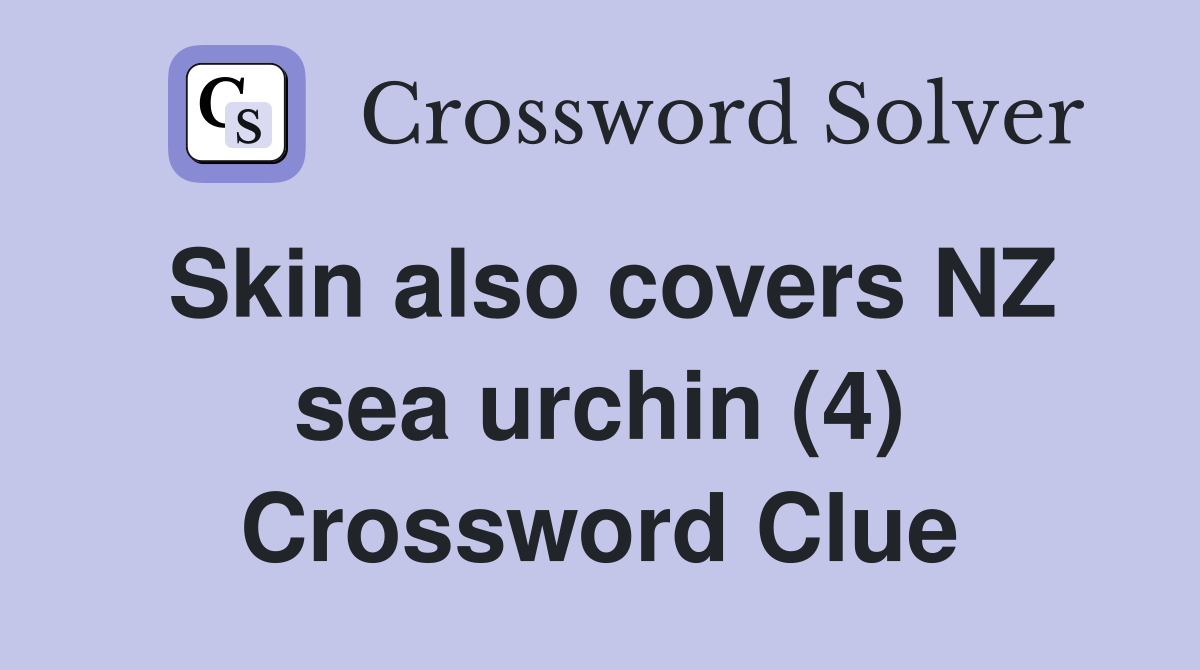 Skin also covers NZ sea urchin (4) Crossword Clue