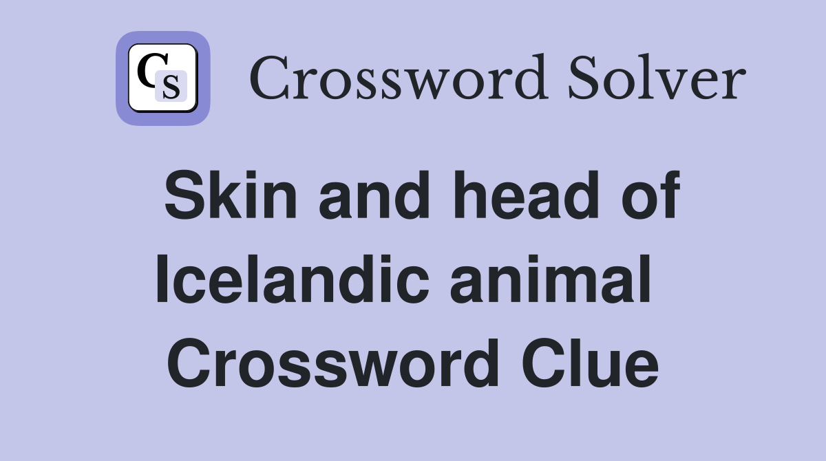 Skin and head of Icelandic animal  Crossword Clue