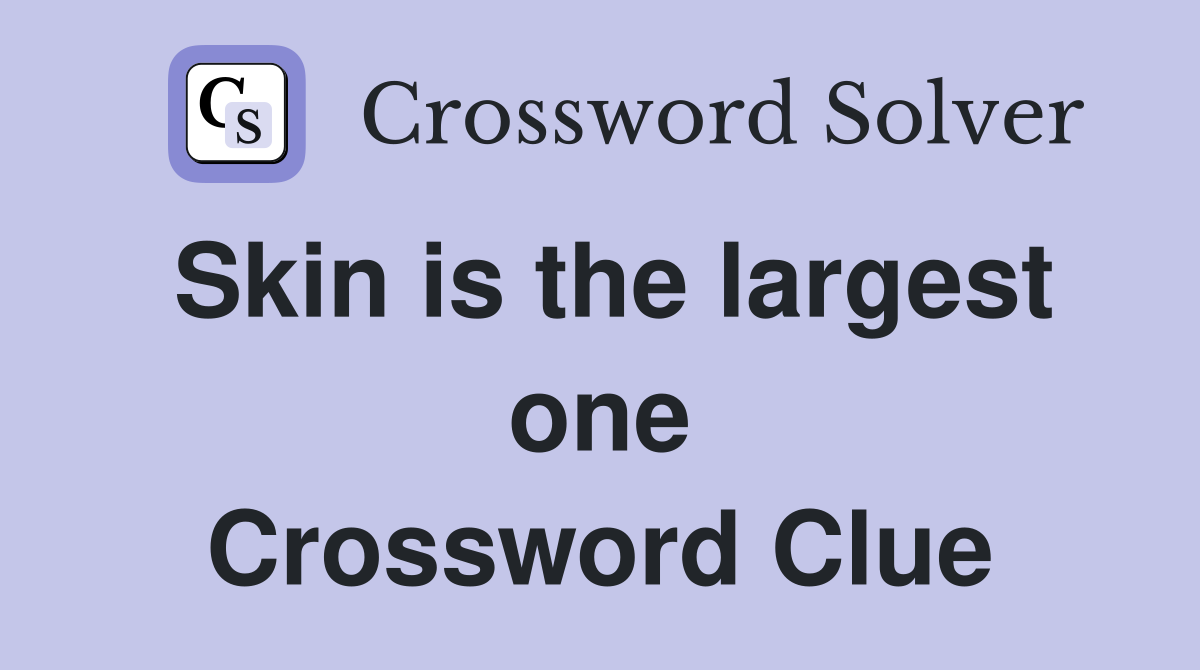 Skin is the largest one Crossword Clue