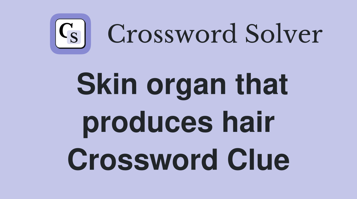Skin organ that produces hair Crossword Clue