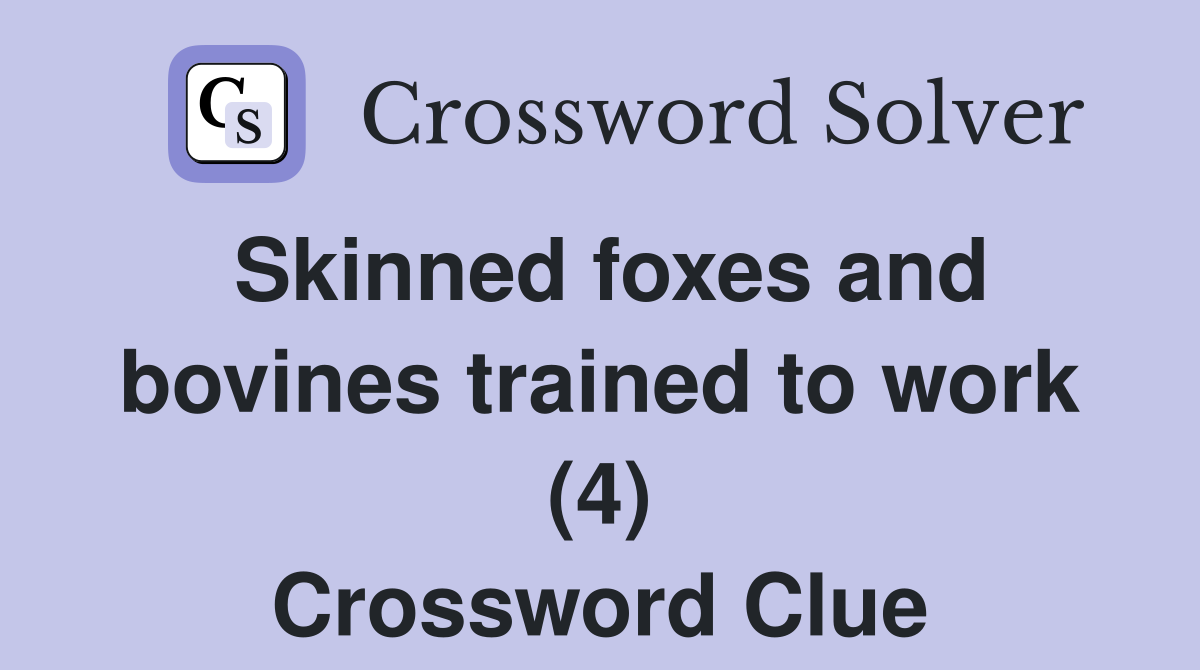 Skinned foxes and bovines trained to work (4) Crossword Clue