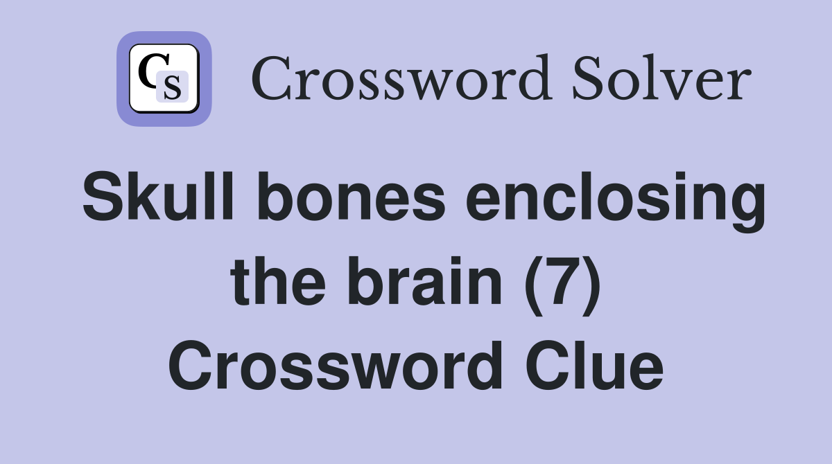 Skull bones enclosing the brain (7) Crossword Clue