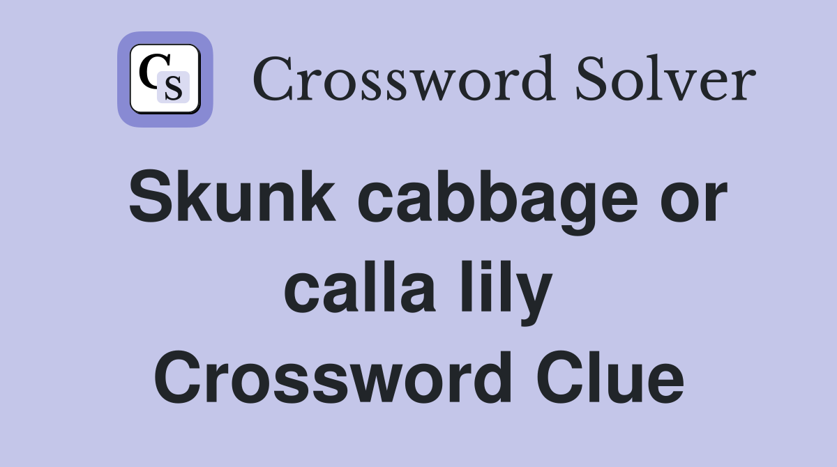 Skunk cabbage or calla lily Crossword Clue