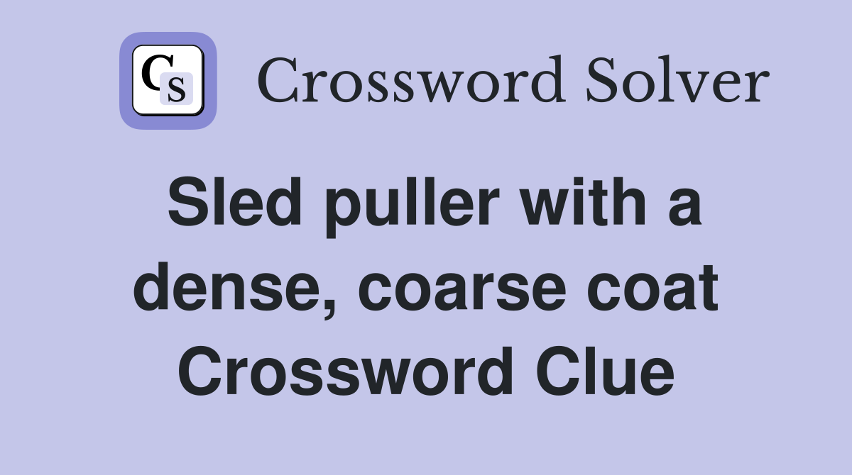 Sled puller with a dense, coarse coat Crossword Clue