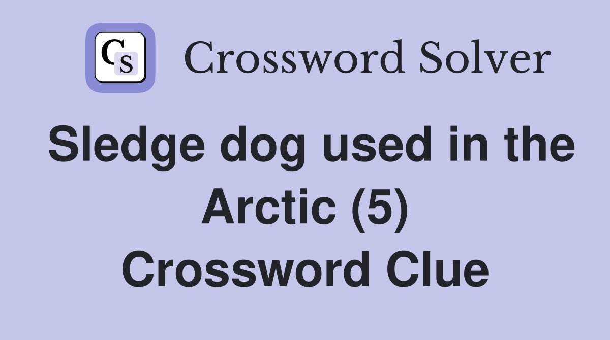 Sledge dog used in the Arctic (5) Crossword Clue