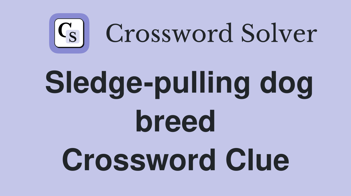 Sledge-pulling dog breed Crossword Clue