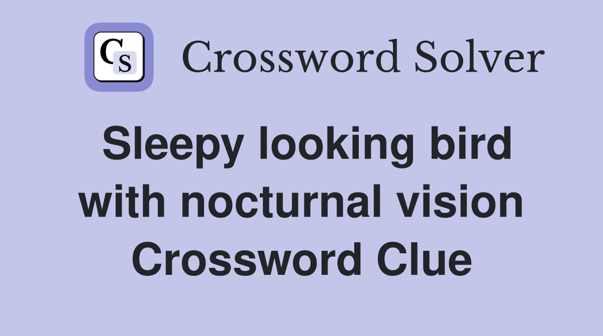 Sleepy looking bird with nocturnal vision Crossword Clue