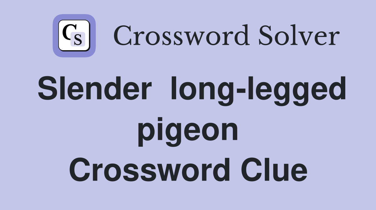 Slender  long-legged pigeon Crossword Clue