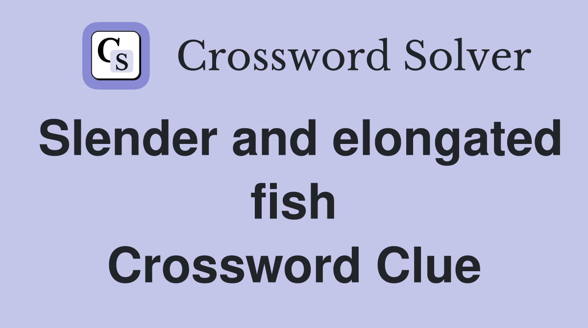 Slender and elongated fish Crossword Clue