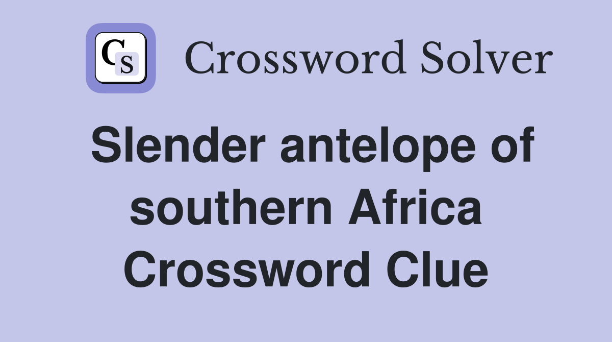 Slender antelope of southern Africa Crossword Clue