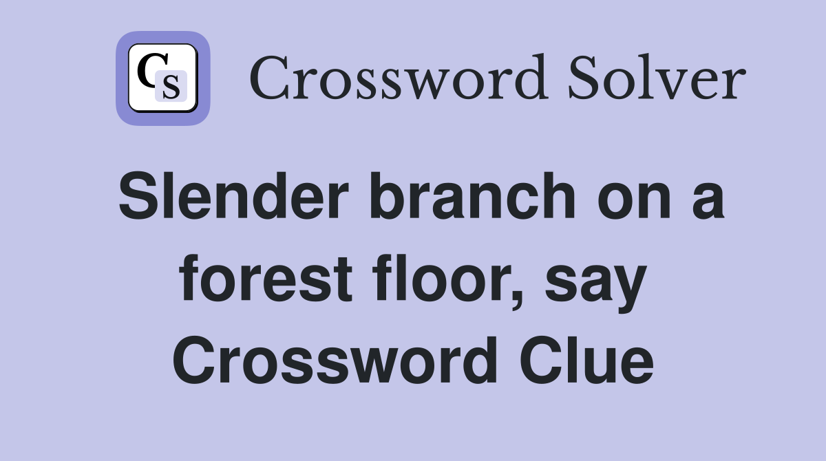 Slender branch on a forest floor, say Crossword Clue