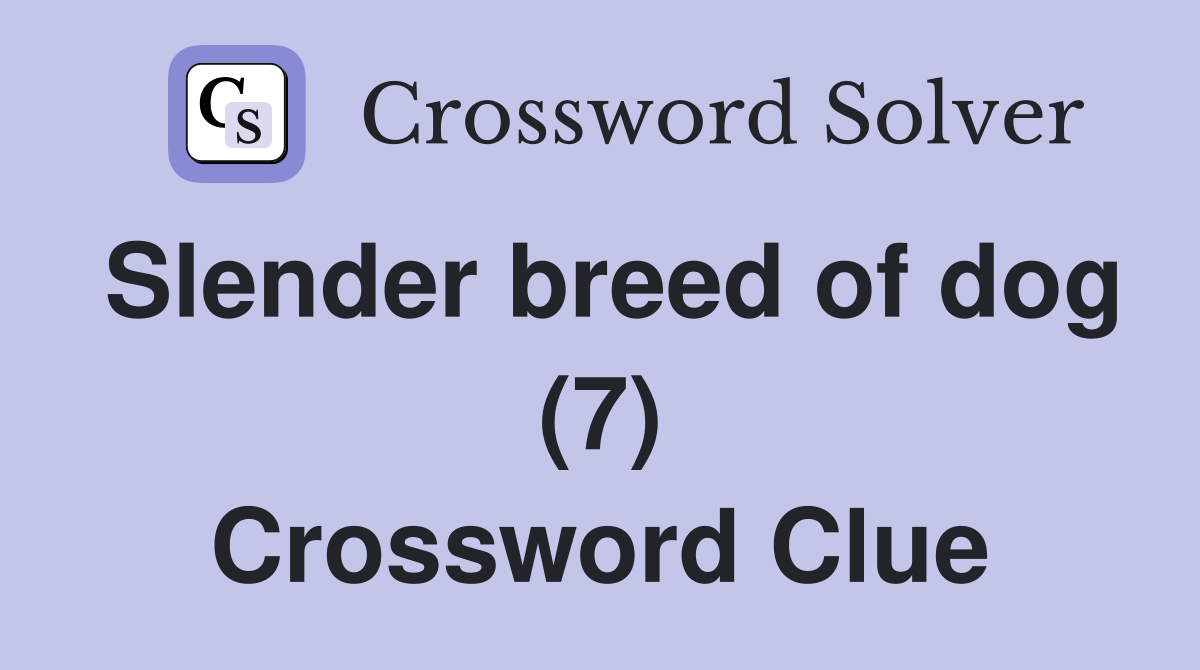 Slender breed of dog (7) Crossword Clue