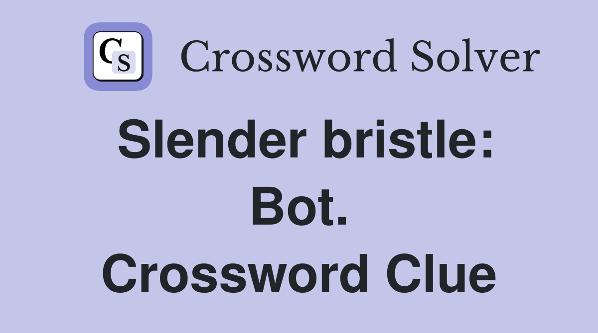 Slender bristle: Bot. Crossword Clue