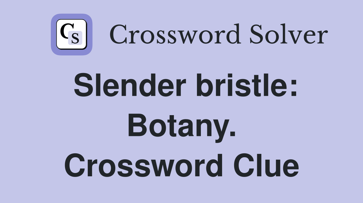 Slender bristle: Botany. Crossword Clue