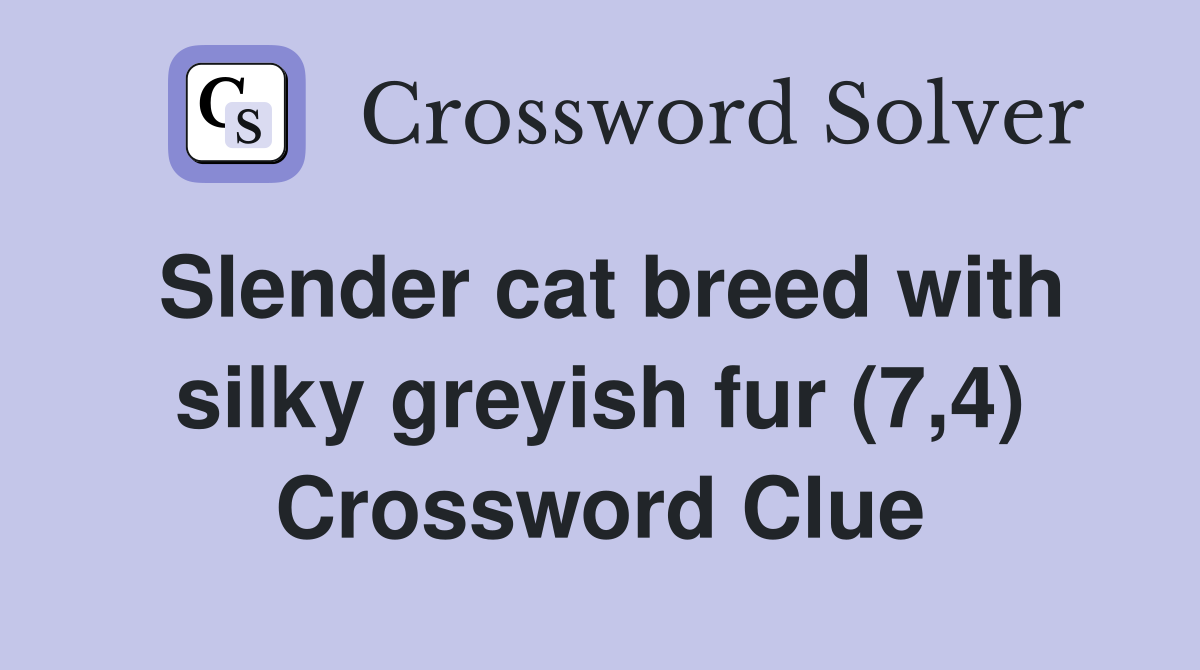Slender cat breed with silky greyish fur (7,4) Crossword Clue