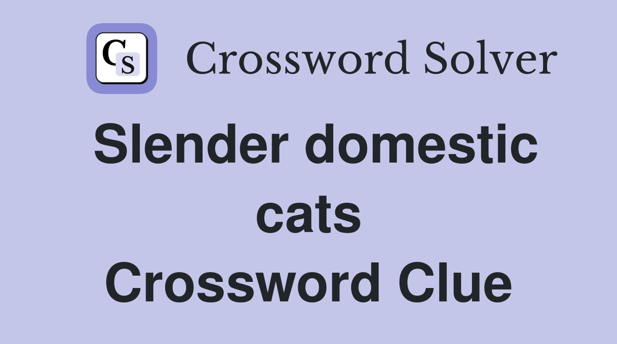 Slender domestic cats Crossword Clue