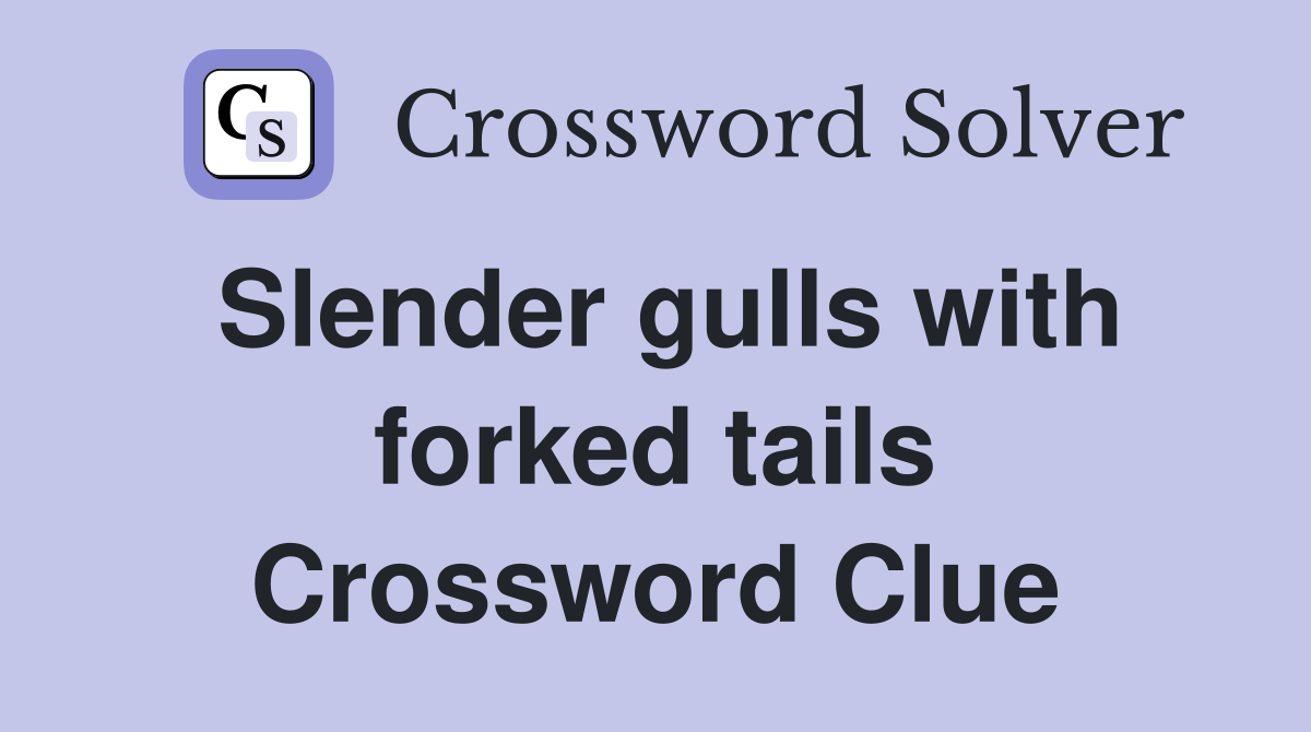 Slender gulls with forked tails Crossword Clue